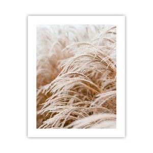 Plakat - Bøjer sig for efterårssolen - 40x50 cm