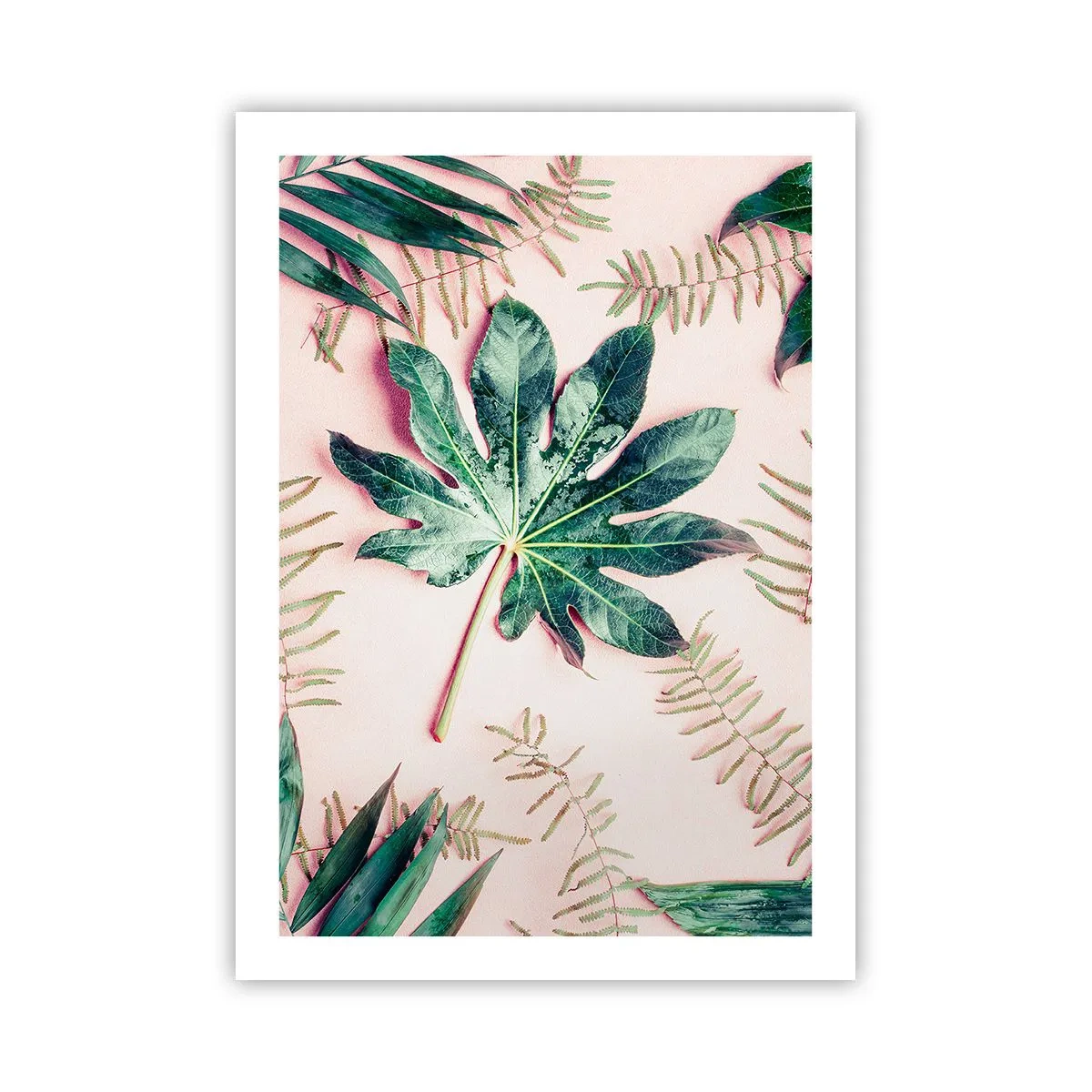 Plakat - En undersøgelse af grønt på en lyserød baggrund - 50x70 cm