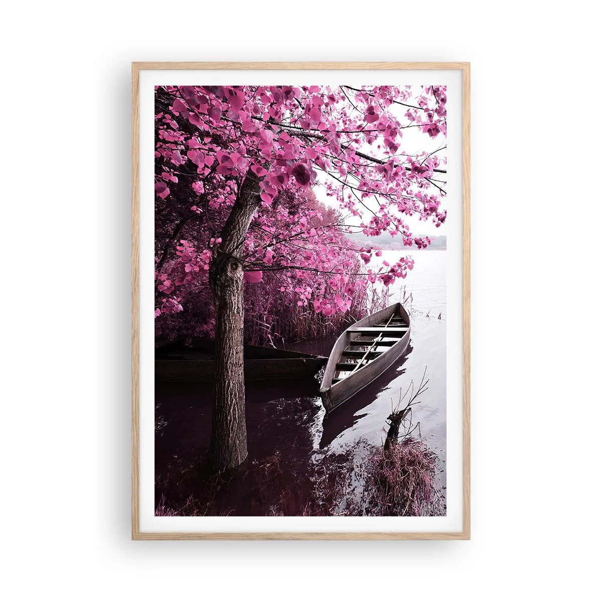 Plakat i ramme af lyst egetræ - I lyserød stilhed - 70x100 cm