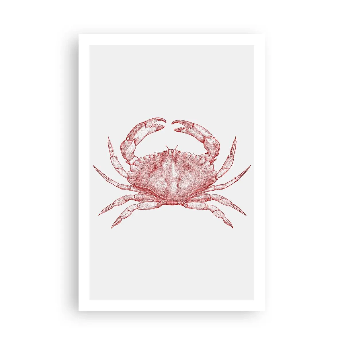 Plakat - Krabbe over krabber - 61x91 cm