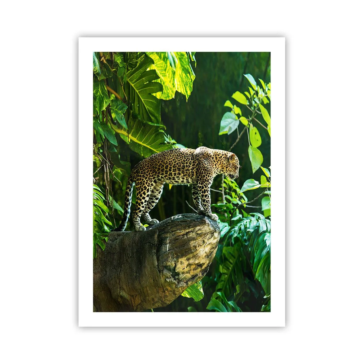 Plakat - Til jagt? - 50x70 cm