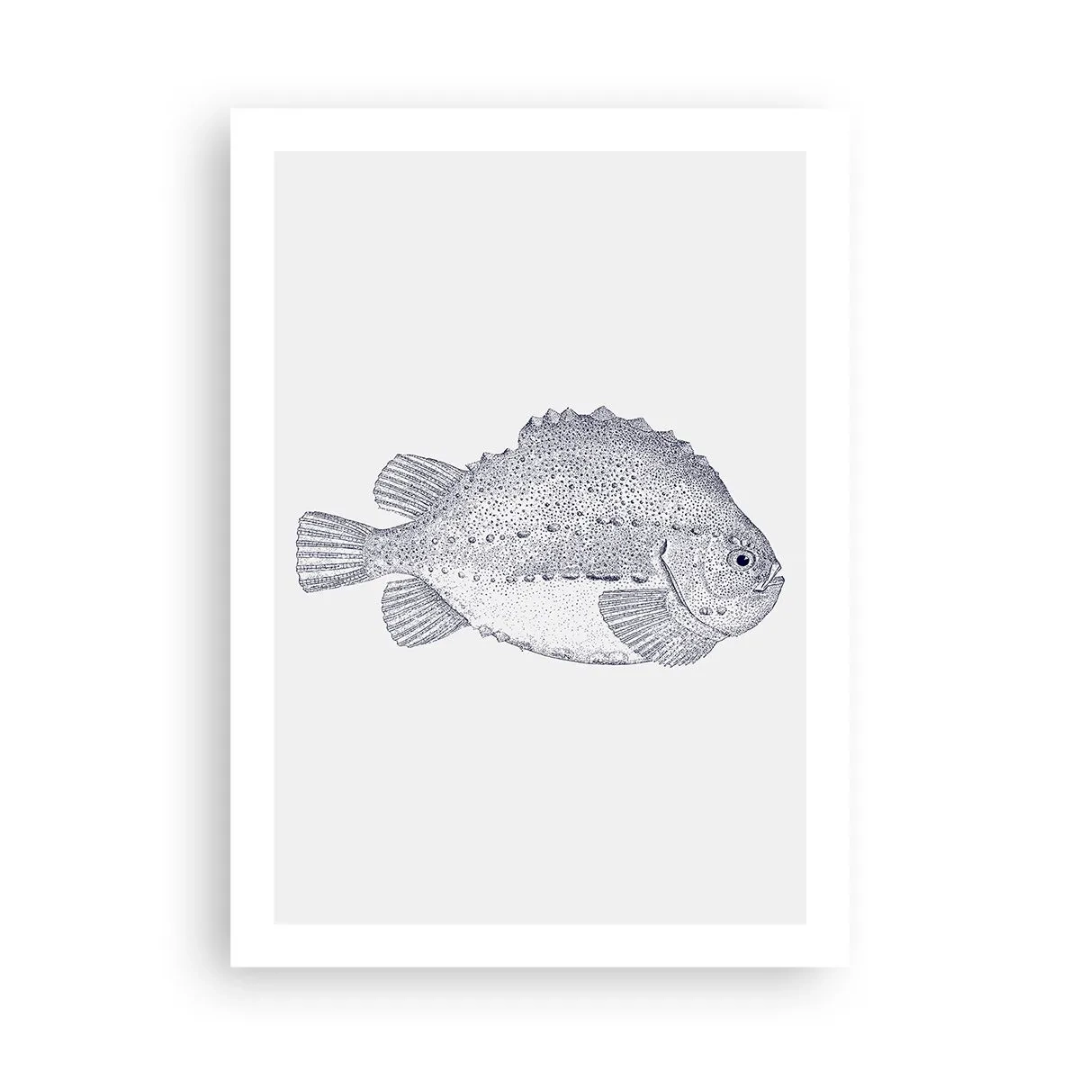 Plakat - Til naturforskerens album - 50x70 cm