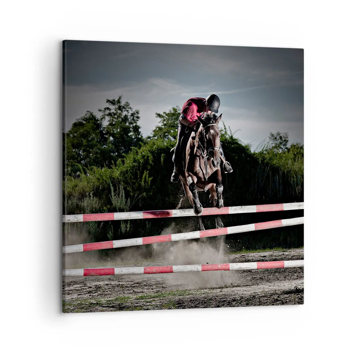 Lærredstryk - Billede på lærred - Sammen om sejren - 50x50 cm