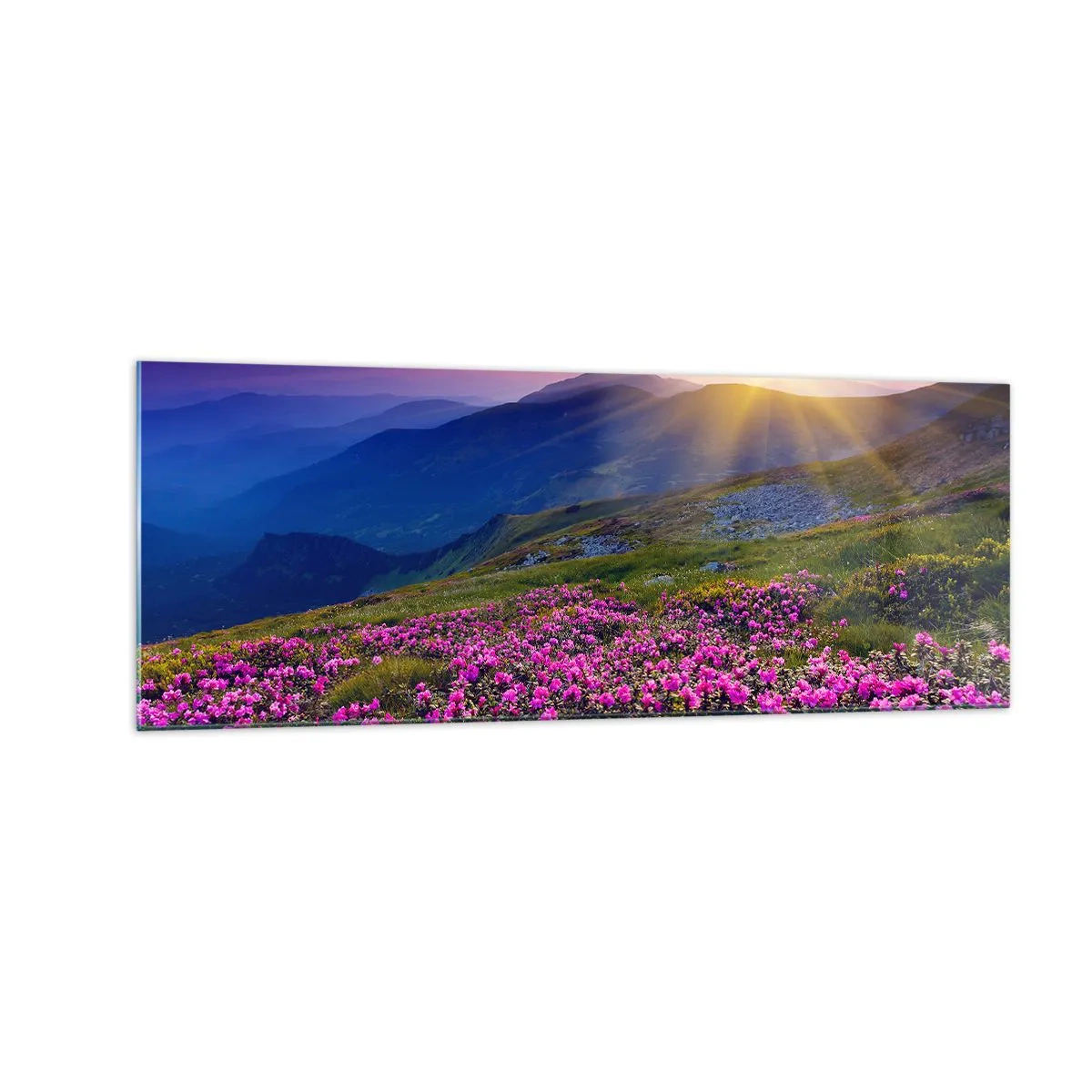 Billede på glas - ... Og rundt omkring dufter det af fyrretræer og krydderurter - 140x50 cm