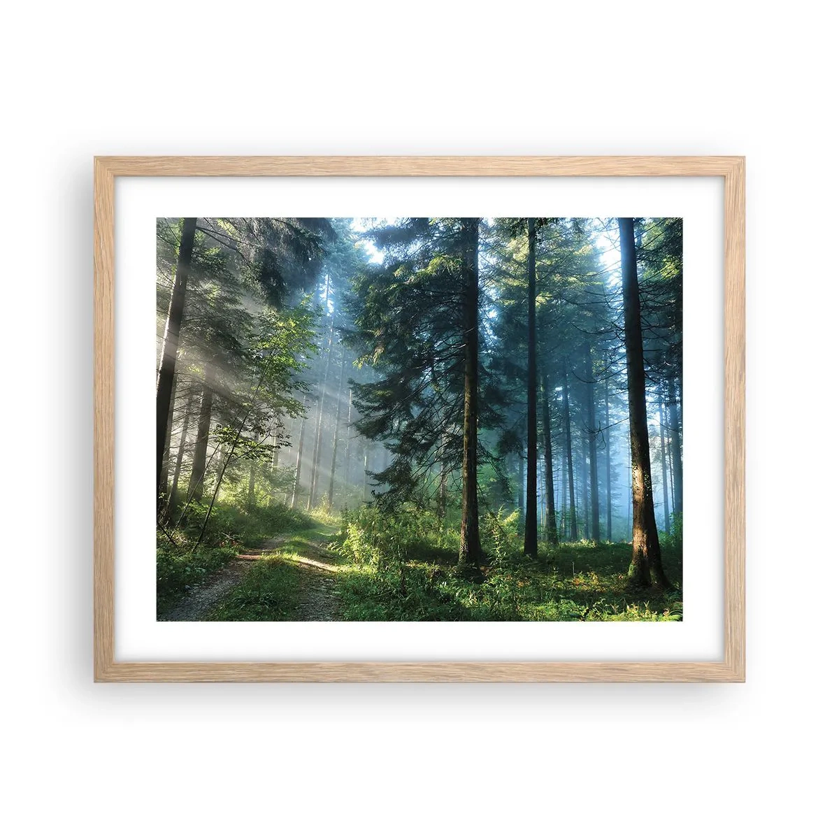 Plakat i ramme af lyst egetræ - Strålende om morgenen - 50x40 cm
