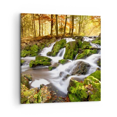 Lærredstryk - Billede på lærred - Bystrøm gennem efterårsskoven - 50x50 cm
