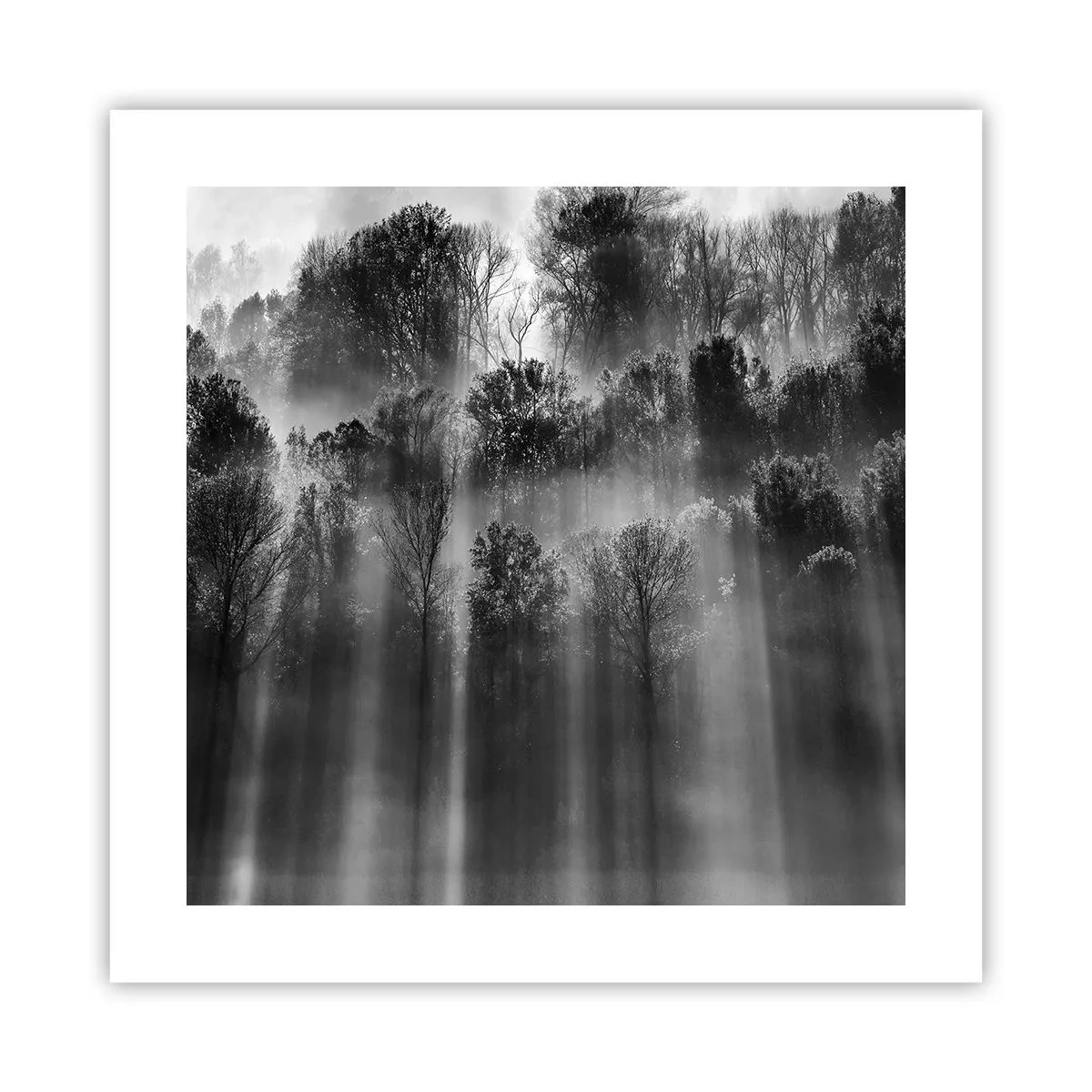 Plakat - I stråler af lys - 40x40 cm