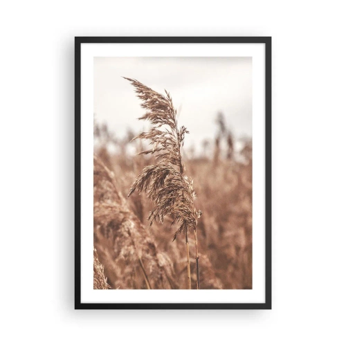 Plakat i sort ramme - Græs mod et tåget landskab i naturlige farver - 50x70cm - Efteråret er allerede på markerne - Moderne vægdekoration til stue og soveværelse ARTTOR