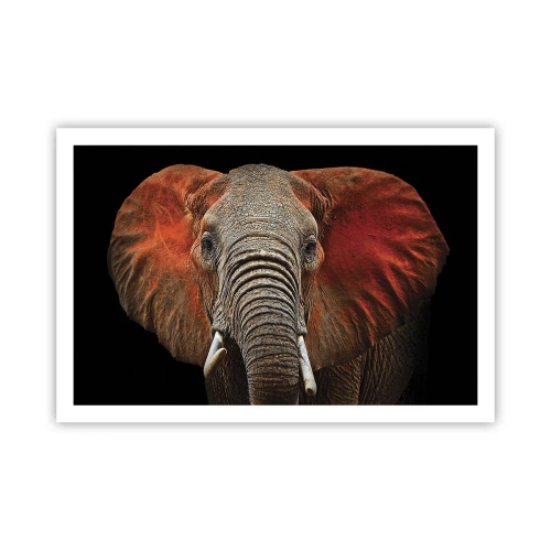 Plakat - Jeg er vild, er du? - 91x61 cm