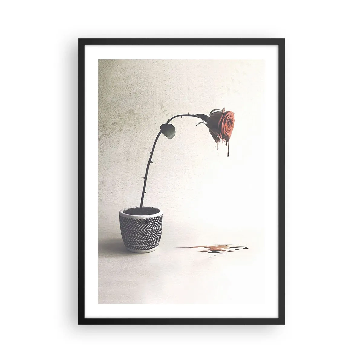 Plakat i sort ramme - En potterose med en kunstnerisk flydende effekt - 50x70cm - Rosa dolorosa - Moderne vægdekoration til stue og soveværelse ARTTOR