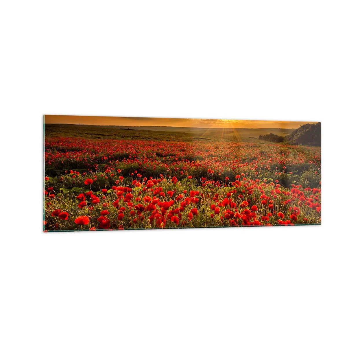Billede på glas - Blandt bølgerne af raslende enge, blandt flodblomster - 140x50 cm