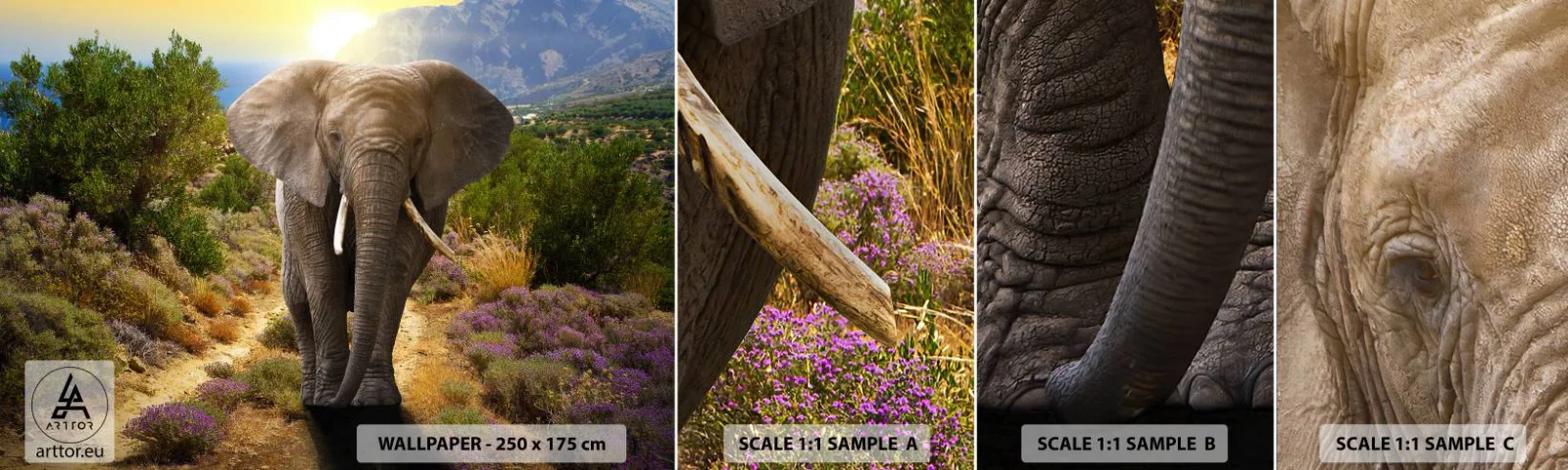 Prøve Fototapet Selvklæbende Deluxe Sticker - Sådan så Eden ud - Dyr, Elefant, Safari - 100x30 cm