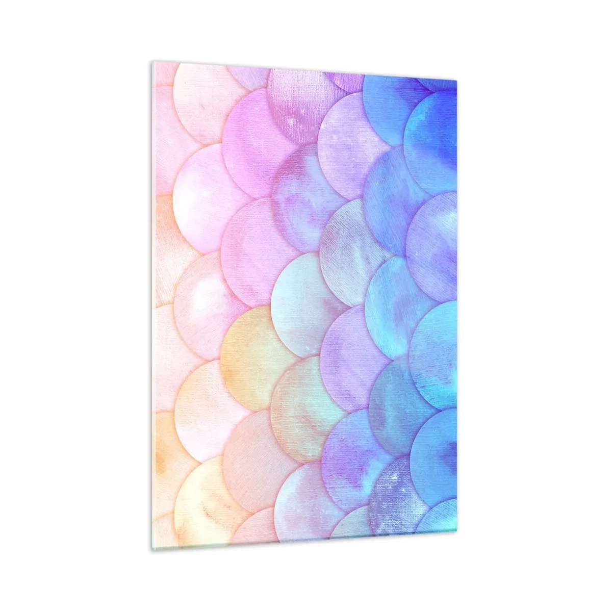 Billede på glas - Perleskaller - 50x70 cm