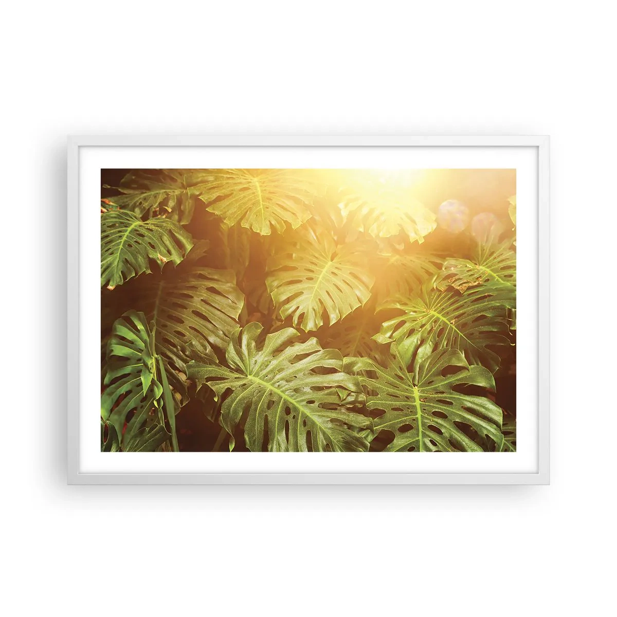 Plakat i hvid ramme - Træd ind i det grønne... - 70x50 cm