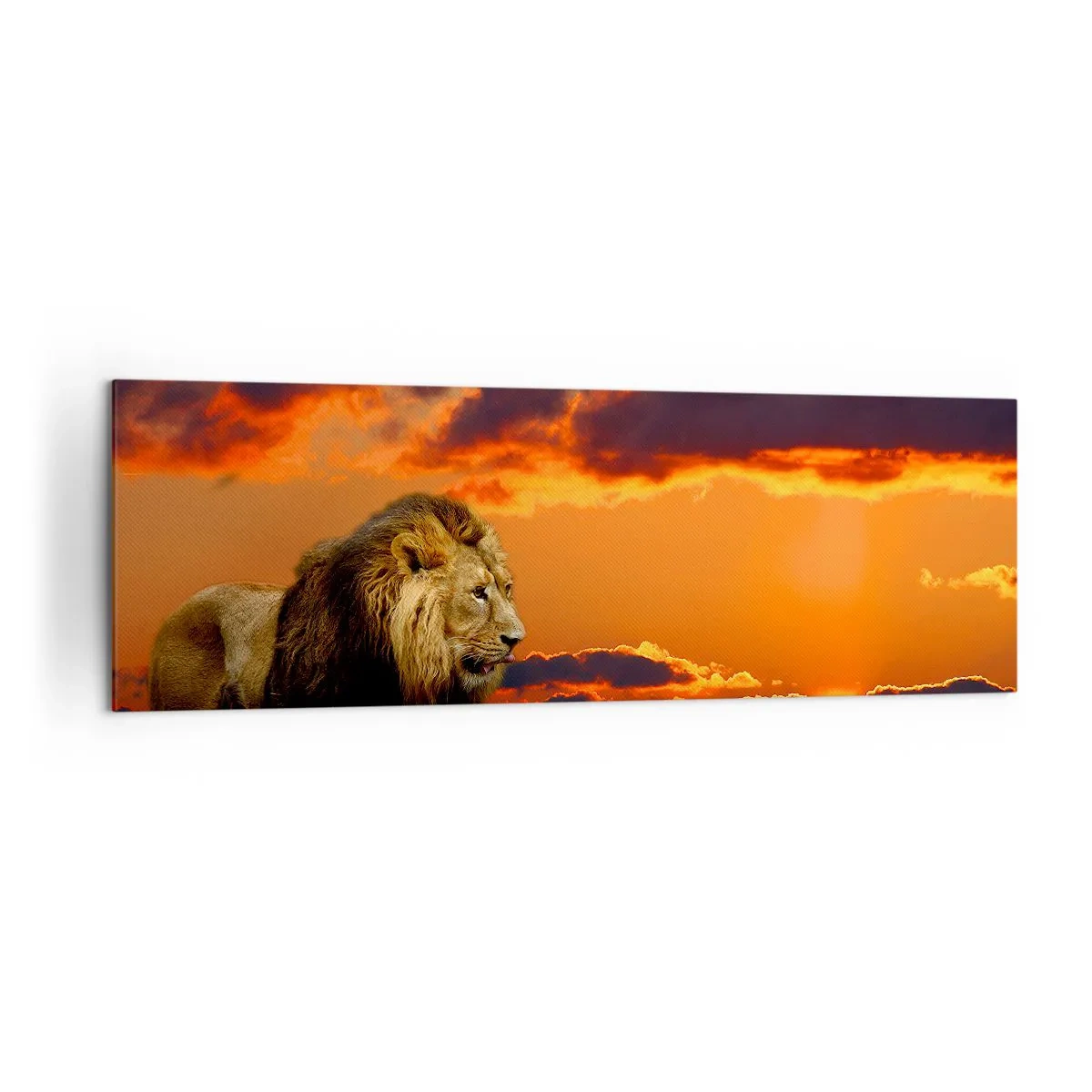 Lærredstryk - Billede på lærred - Naturens konge - 160x50 cm