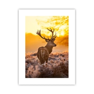 Plakat - Kongen af efterårsskoven - 30x40 cm