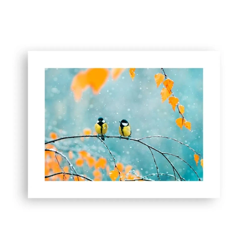 Plakat - Sladder om fugle - 40x30 cm