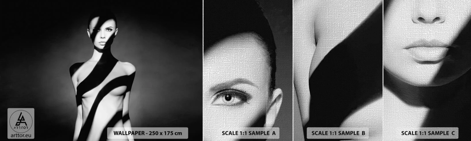 Prøve Fototapet Premium Canvas - I blænding og skygge - Kvinde, Legeme, Stykke - 100x30 cm