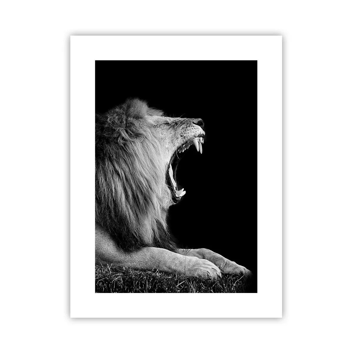 Plakat - Uden tvivl - 30x40 cm