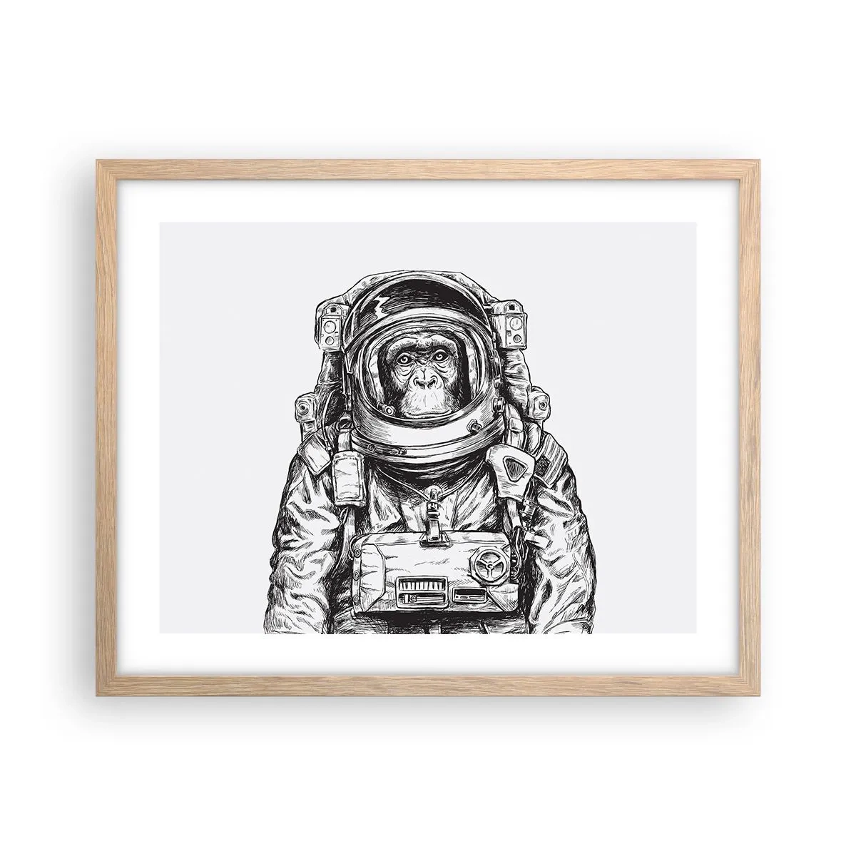 Plakat i ramme af lyst egetræ - Alternativ evolution - 50x40 cm