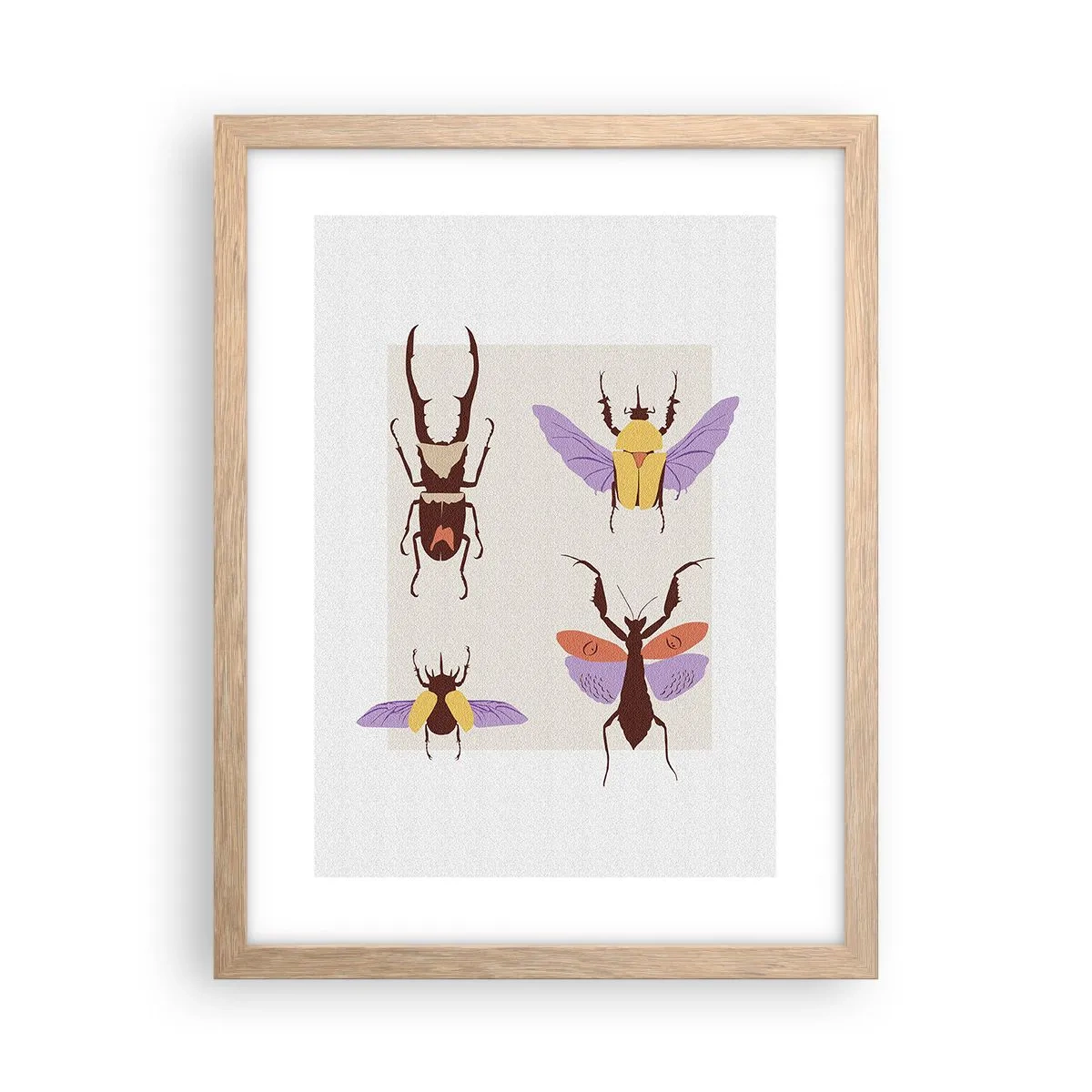 Plakat i ramme af lyst egetræ - Insekternes verden - 30x40 cm