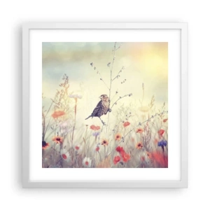 Plakat i hvid ramme - Fugleportræt med en eng i baggrunden - 40x40 cm