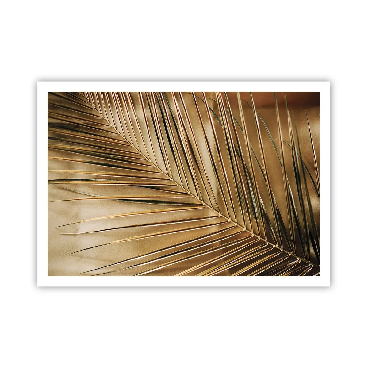 Plakat - Naturlig kolonnade - 100x70 cm