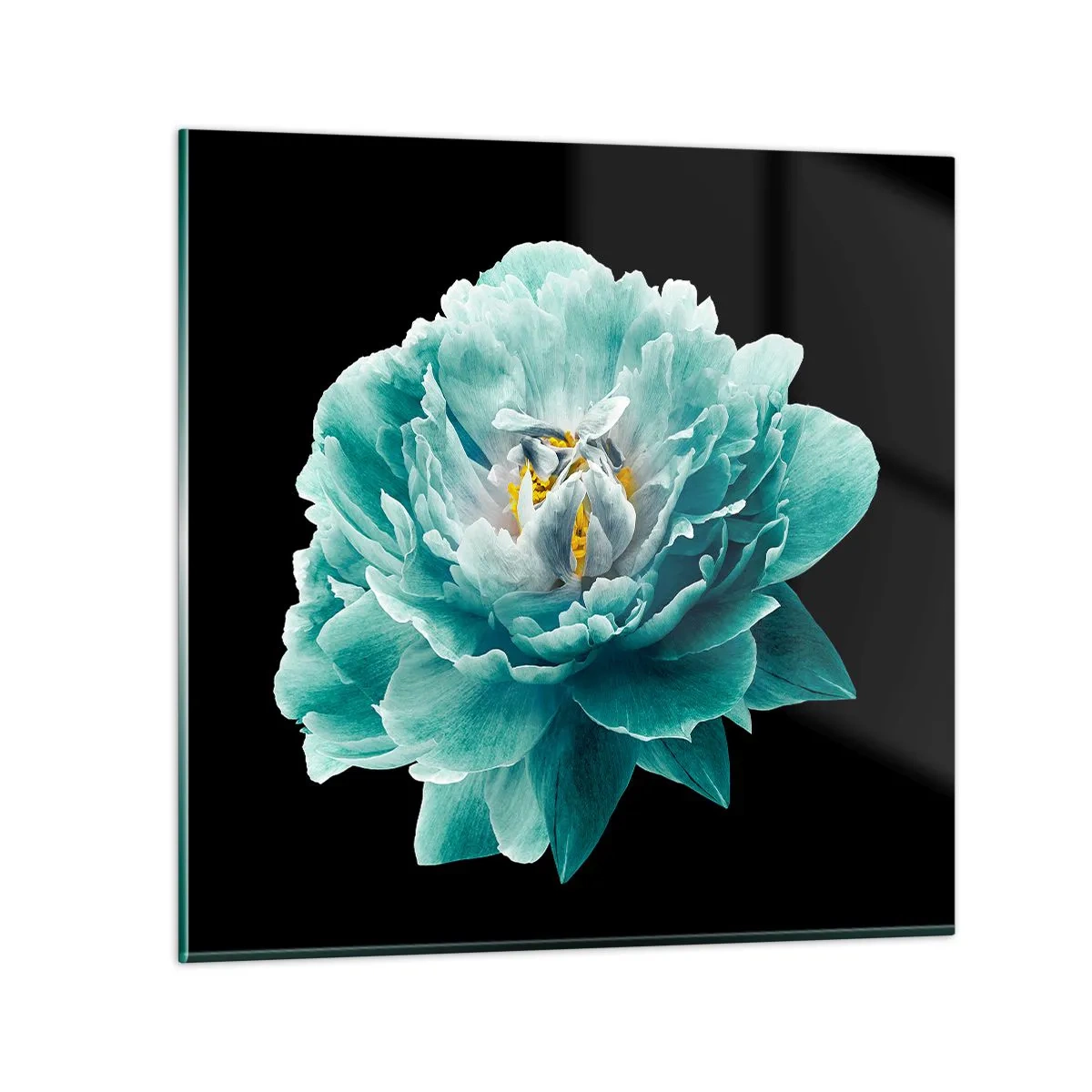 Billede på glas - Blå og gyldne kronblade - 30x30 cm