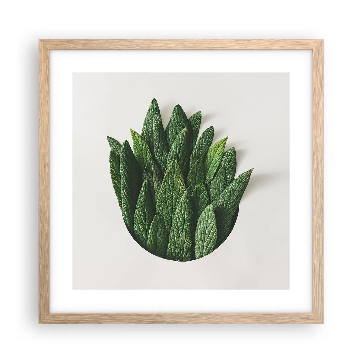 Plakat i ramme af lyst egetræ - Uhæmmet nysgerrighed - 40x40 cm