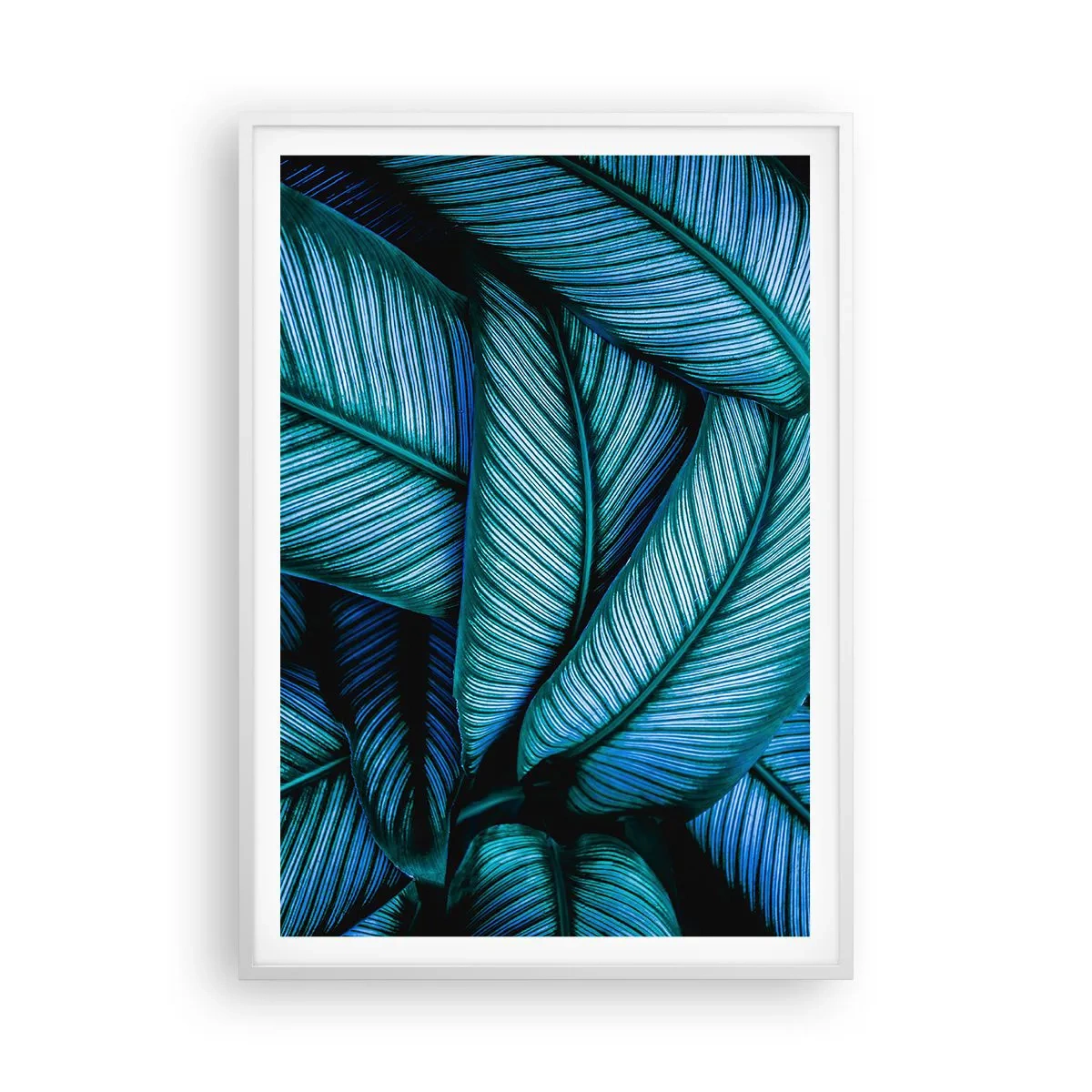 Plakat i hvid ramme - Livslinjer - 70x100 cm