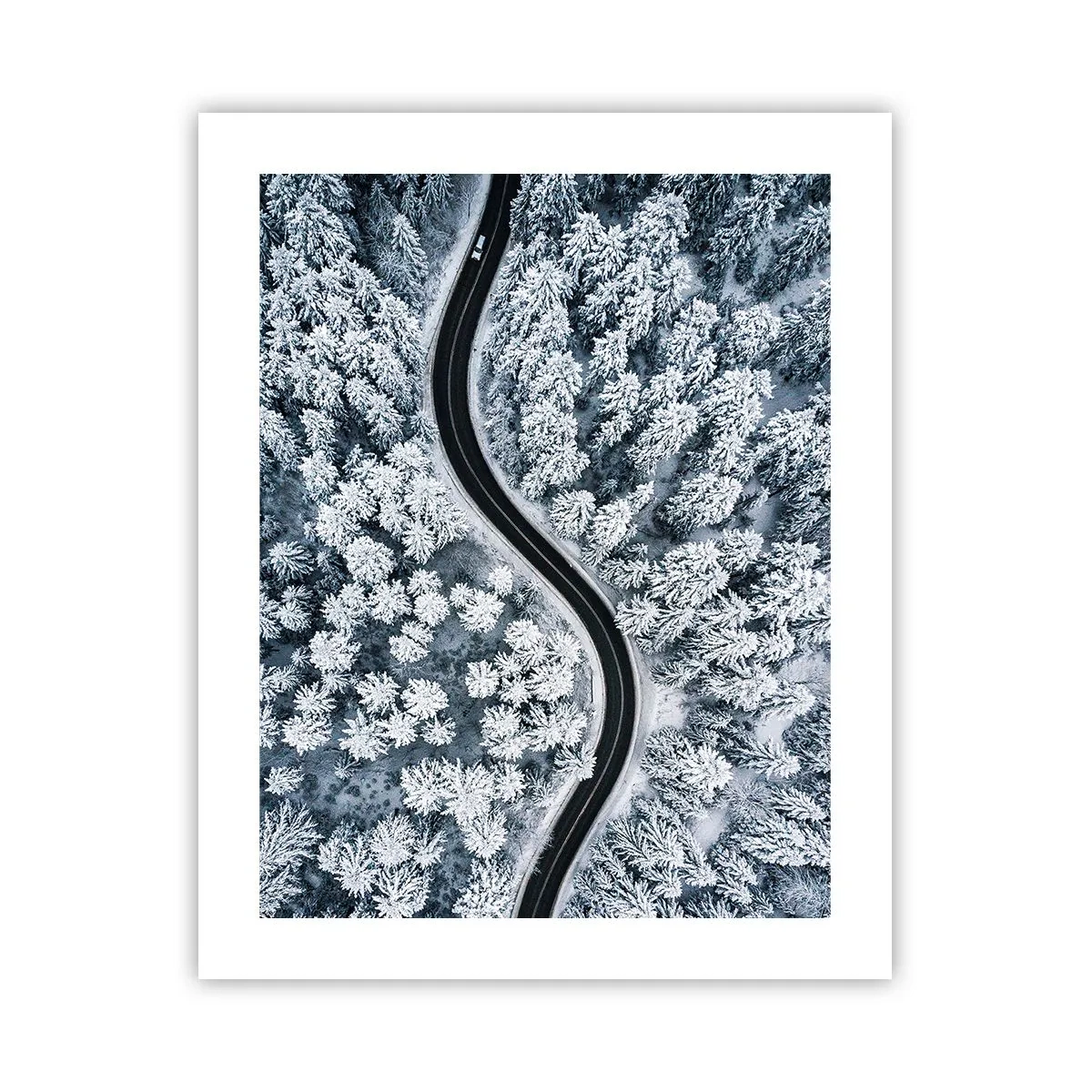 Plakat - Gennem en vinterskov - 40x50 cm