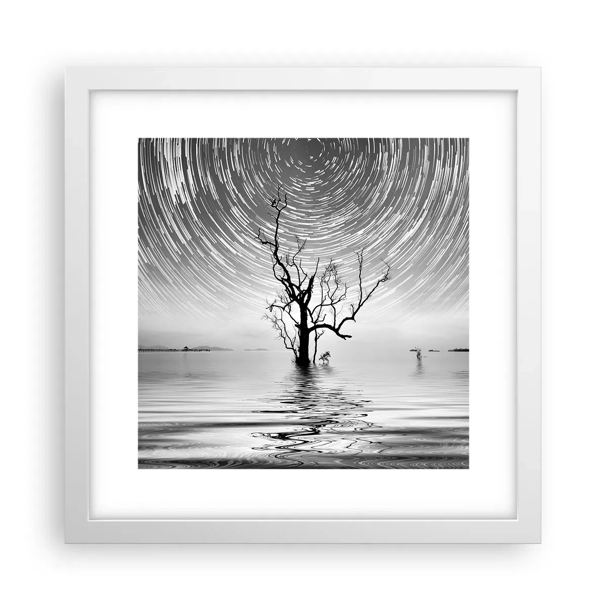 Plakat i hvid ramme - En natursymfoni - 30x30 cm