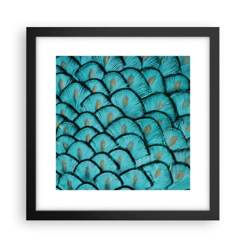 Plakat i sort ramme - Den store fjer-galla - 30x30 cm