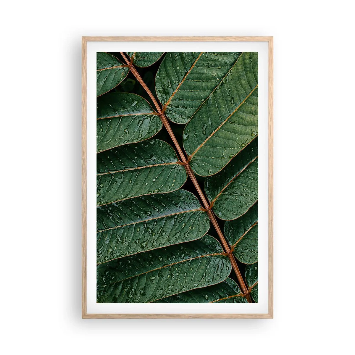 Plakat i ramme af lyst egetræ - I en grøn rytme - 61x91 cm