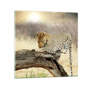 Billede på glas - Jeg går min egen vej - 30x30 cm