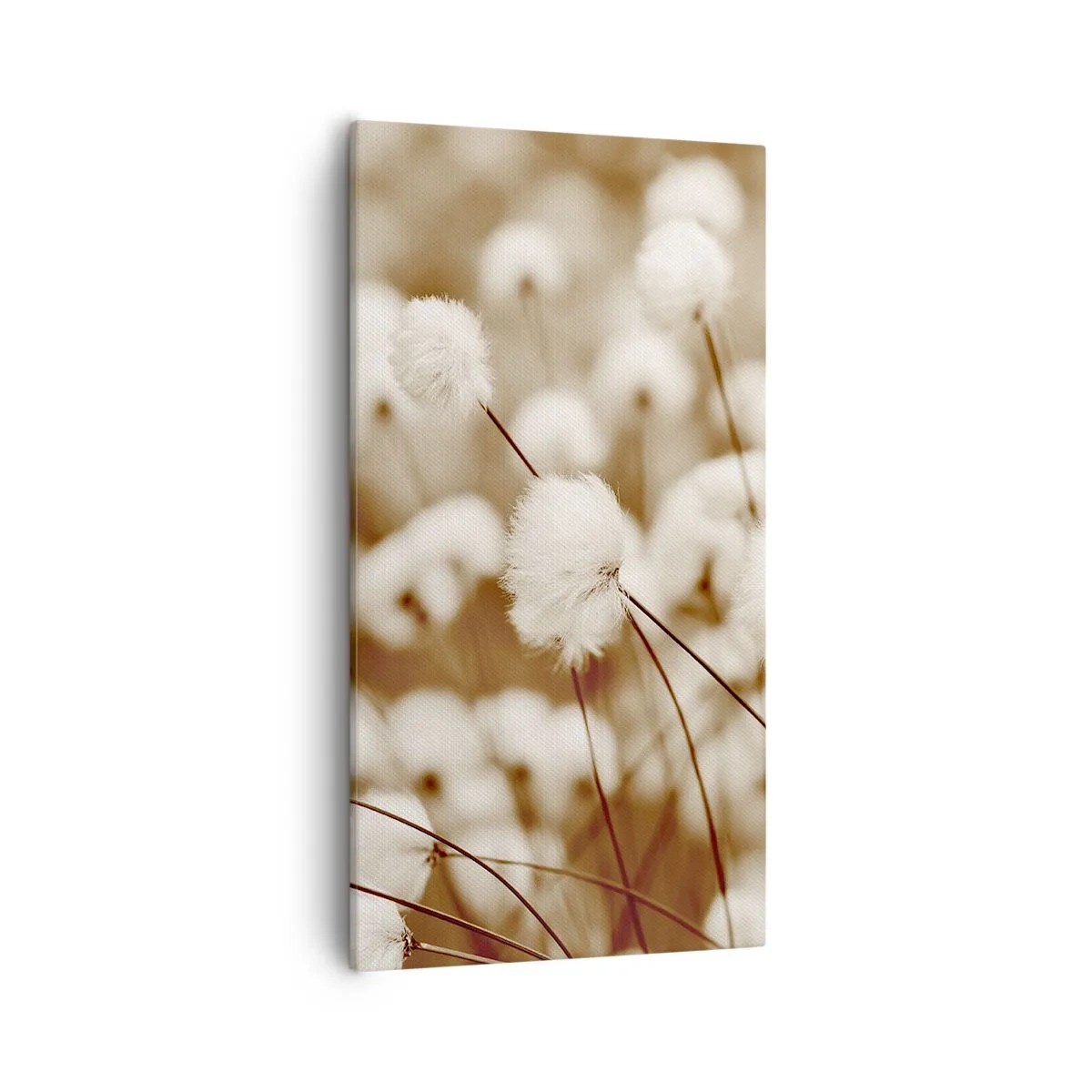 Lærredstryk - Billede på lærred - Fyldig mark - 55x100 cm