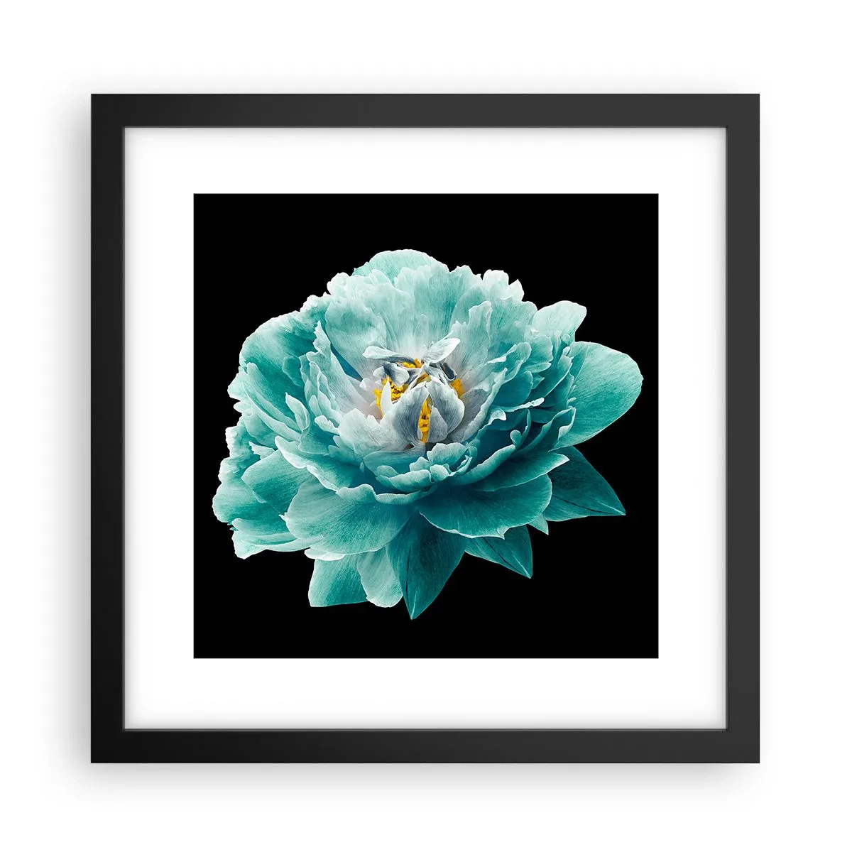 Plakat i sort ramme - Blå og gyldne kronblade - 30x30 cm