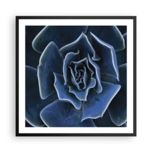 Plakat i sort ramme - Ørkenblomst - 60x60 cm