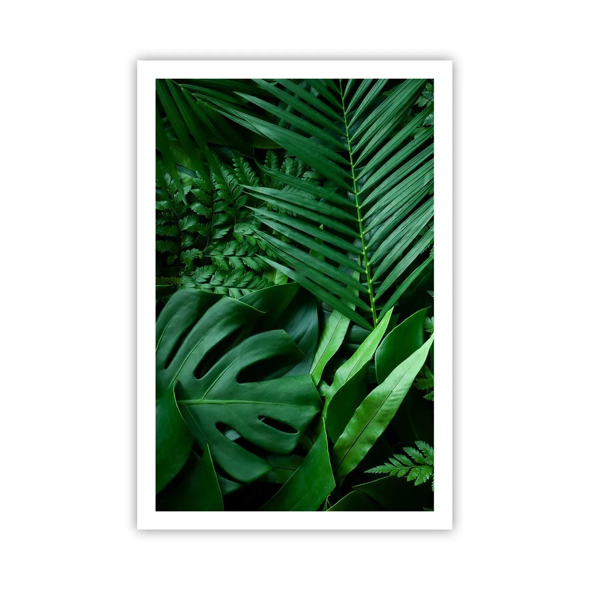 Plakat - Kranset i grønt - 61x91 cm