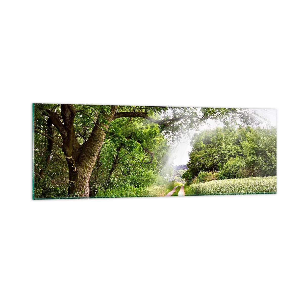 Billede på glas - Et in Arcadia ego - 90x30 cm