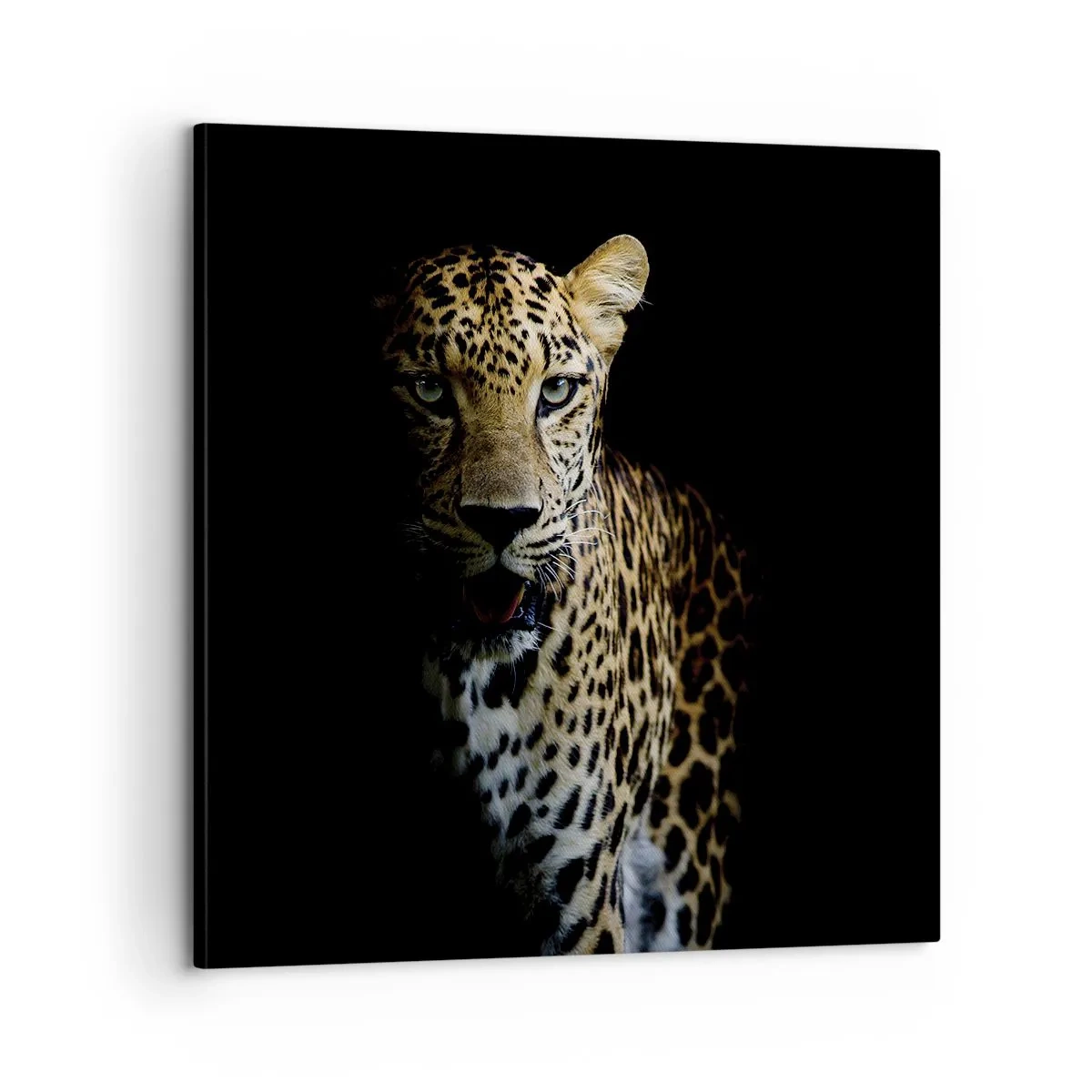 Lærredstryk - Billede på lærred - Mørk skønhed - 60x60 cm