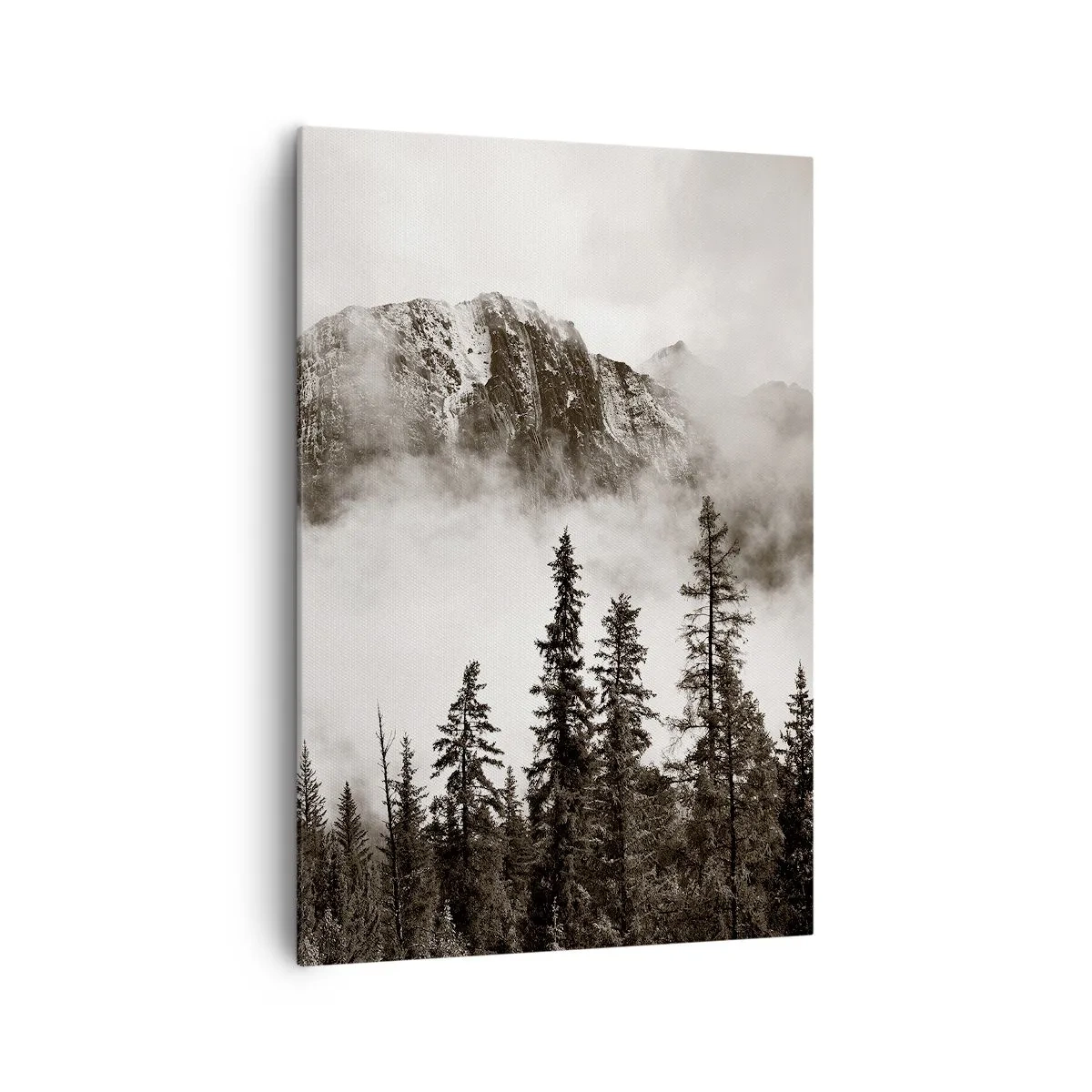 Lærredstryk - Billede på lærred - Granit hersker - 70x100 cm