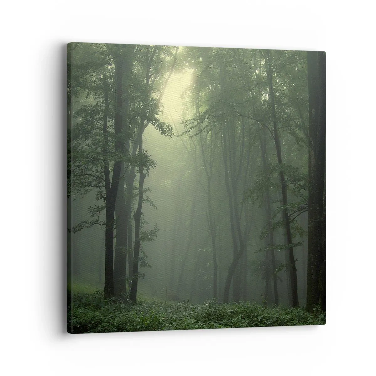 Lærredstryk - Billede på lærred - Før han vågner op - 40x40 cm