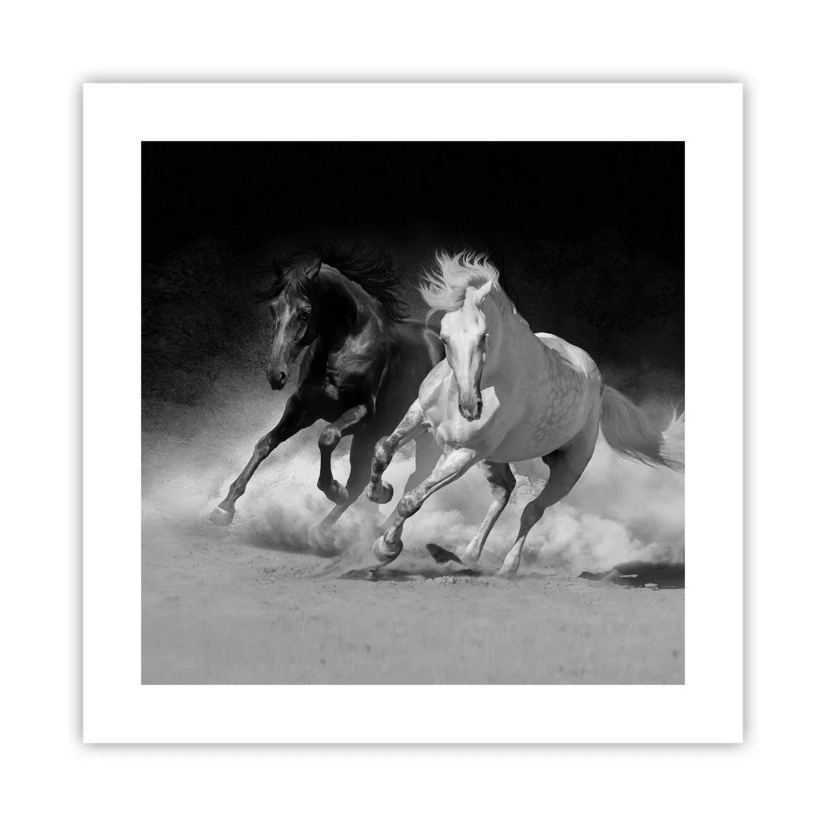 Plakat - Frihedens galop - 40x40 cm