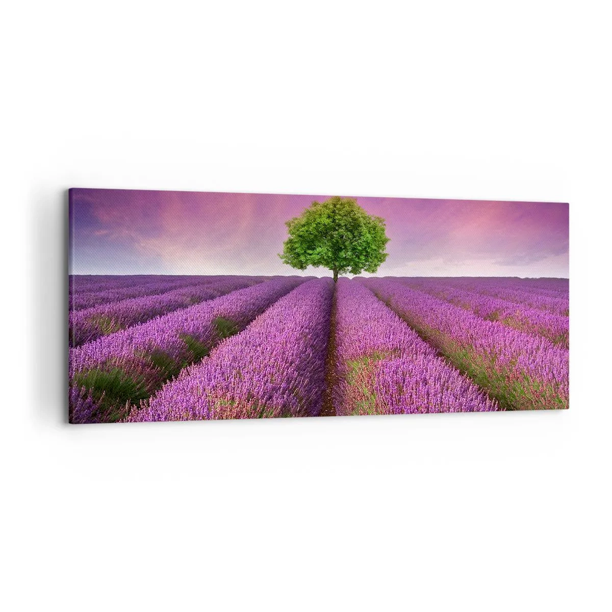 Lærredstryk - Billede på lærred - I lavendelmarker - 120x50 cm