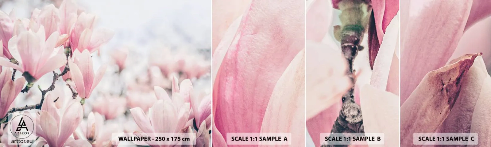 Prøve Fototapet Selvklæbende Deluxe Sticker - Idealet om subtilitet - Magnolia, Blomster, Magnolia træ - 100x30 cm
