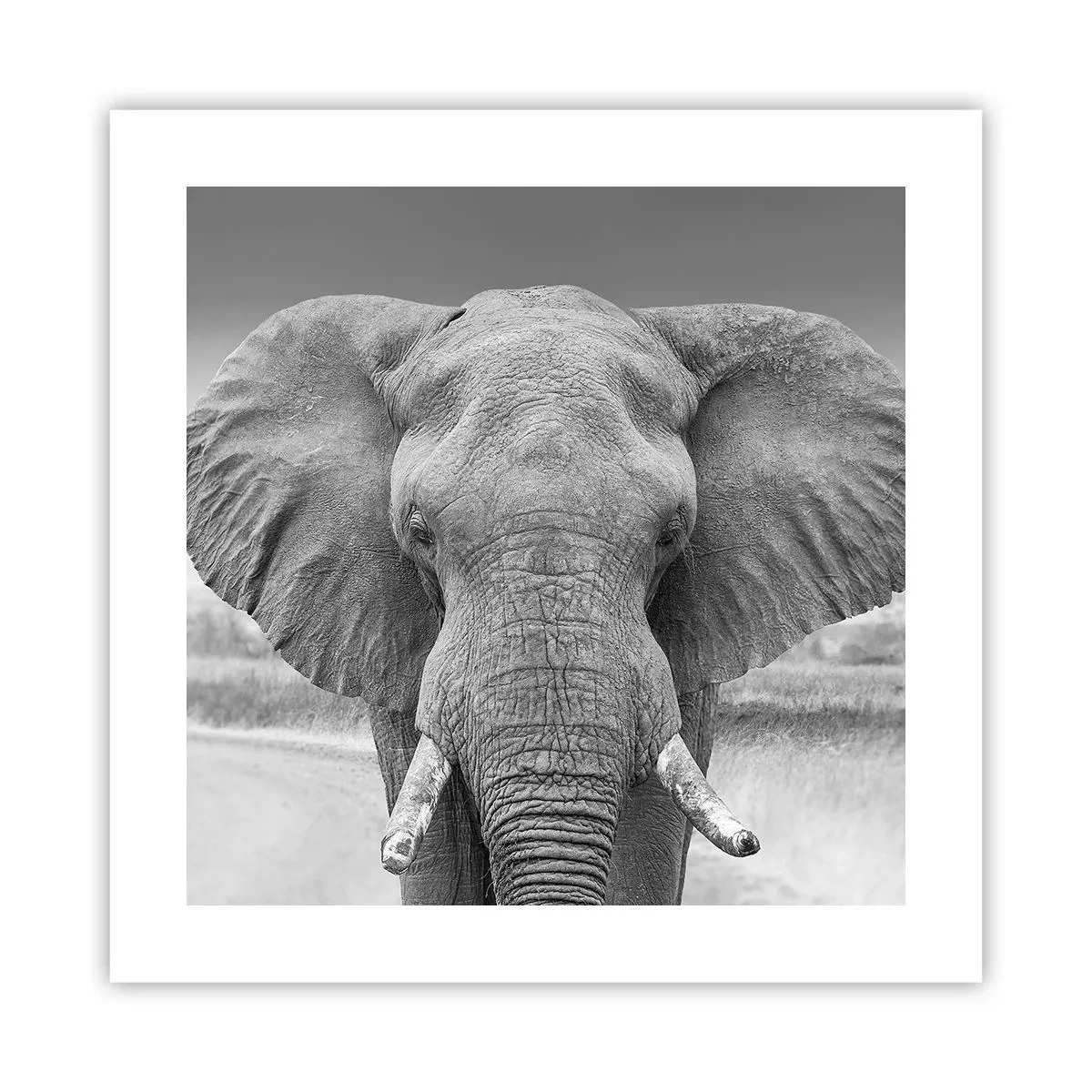 Plakat - Velkommen til min verden - 40x40 cm