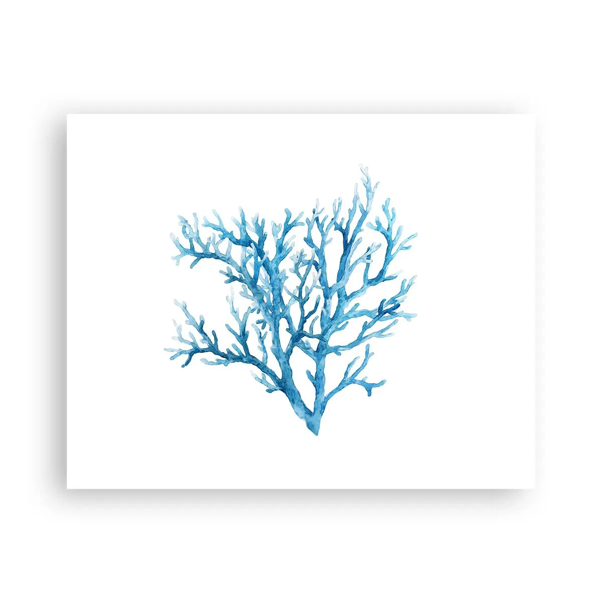 Plakat - Marint filigran - 50x40 cm