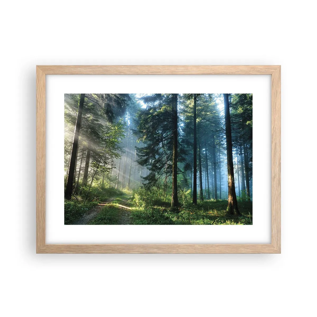 Plakat i ramme af lyst egetræ - Strålende om morgenen - 40x30 cm
