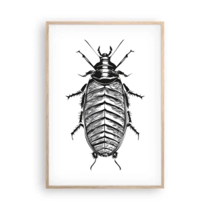 Plakat i ramme af lyst egetræ - Sikke et eksemplar! - 70x100 cm